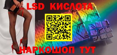 гашик Камышлов