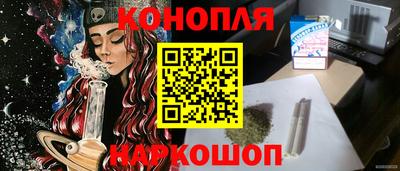 гашик Камышлов