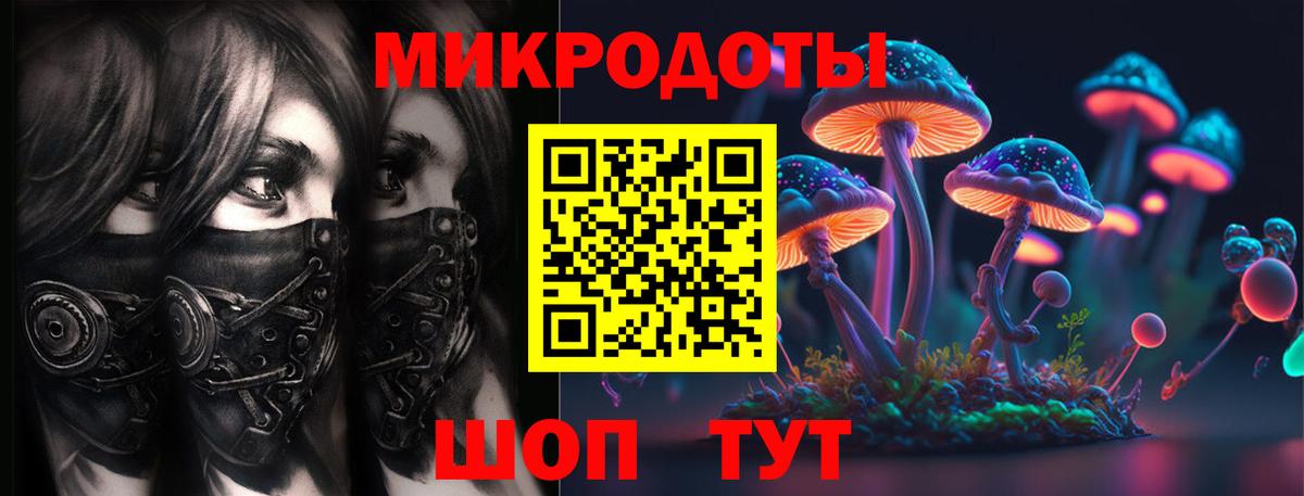Псилоцибиновые грибы Cubensis Крымск
